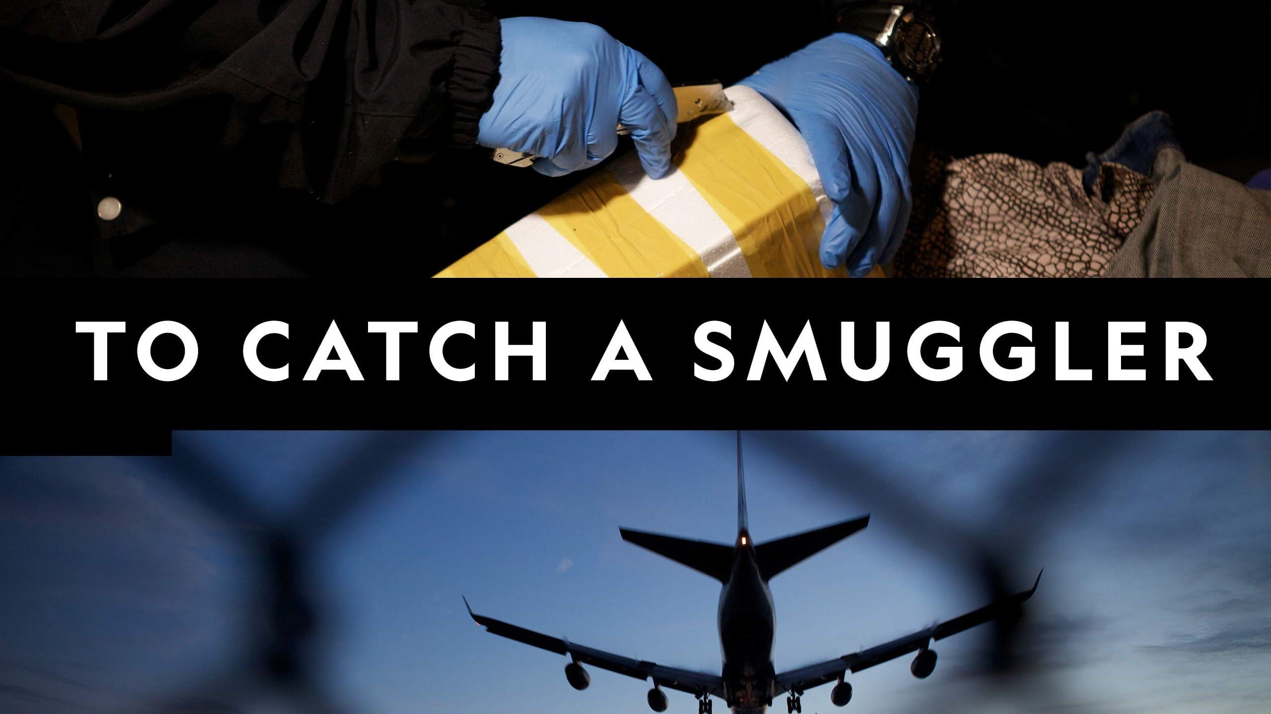 To Catch A Smuggler